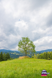 2025-08-23 KTRE 2025_132158_20250823-8074